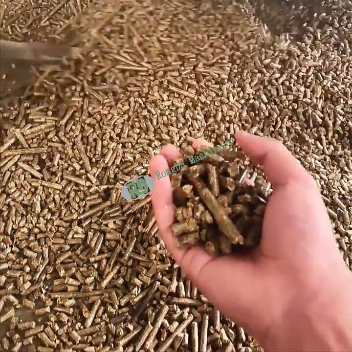 Successful Testing of Rongda Machinery’s New Biomass Pellet Machine